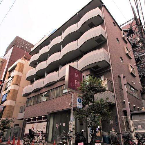 エバーグリーン