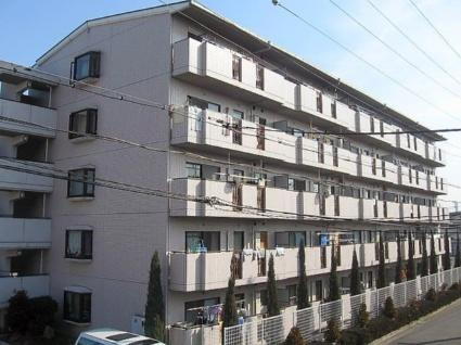 ソービドゥモン