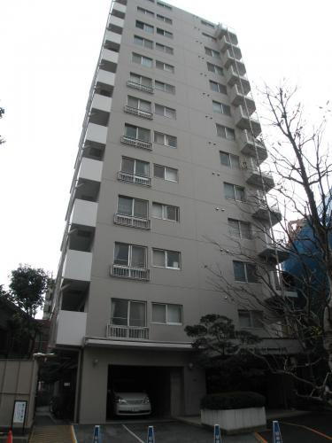 東京都葛飾区金町６丁目 築42年6ヶ月 13階建