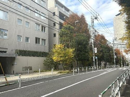 センチュリーフォレスト　テラスＦ　南向き