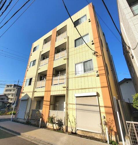 （ＰＥＴ可・ＳＯＨＯ可）アンプルールフェールカノン