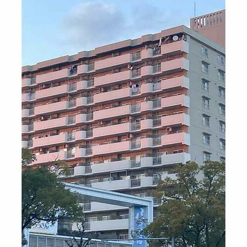 愛知県名古屋市中区正木３丁目 14階建 築42年10ヶ月