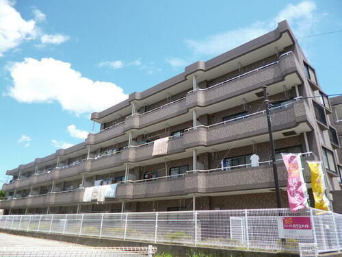 千葉県松戸市大金平２丁目 賃貸マンション