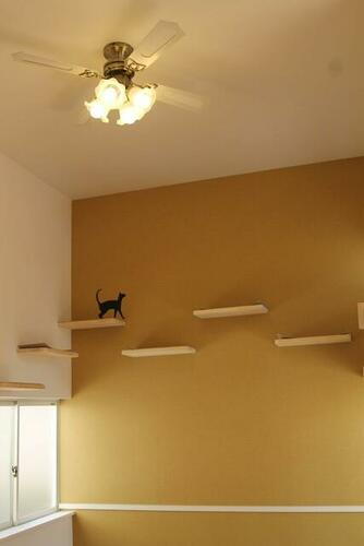 シャノワール宗像