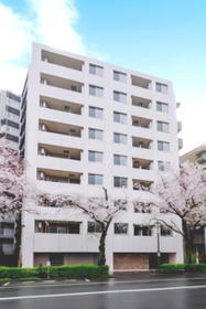 東京都中野区新井１ 9階建 築1年3ヶ月