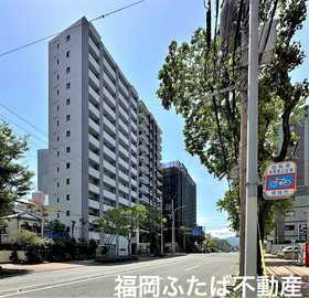 福岡県福岡市城南区別府３ 14階建 築6年4ヶ月