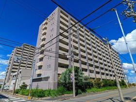 愛知県名古屋市中川区富船町３ 14階建 築21年5ヶ月