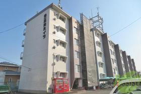 宮城県仙台市若林区南小泉３ 賃貸マンション