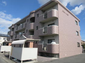 静岡県浜松市中央区高丘東５ 3階建 築19年4ヶ月