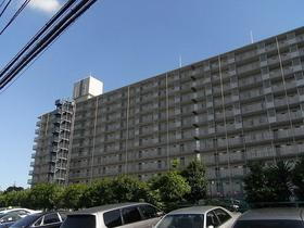 東京都足立区小台１ 11階建 築40年11ヶ月