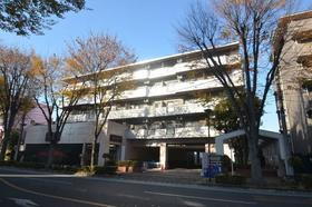 埼玉県さいたま市浦和区常盤１０ 5階建