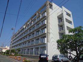 静岡県浜松市中央区新津町 6階建 築30年3ヶ月