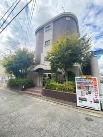 アーバンジャングルプレース１７４Ｓ