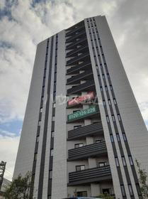 東京都葛飾区東金町３ 15階建 築2年5ヶ月