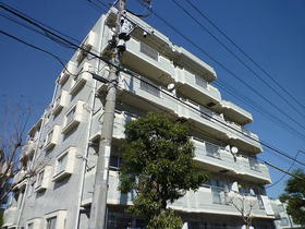 東京都調布市東つつじケ丘２ 5階建 築36年11ヶ月