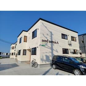 ｓｅｅｄ　ｃｏｔｔｏｎ　Ａ