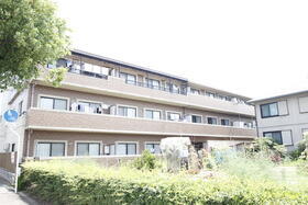 広島県広島市南区向洋新町１ 賃貸マンション