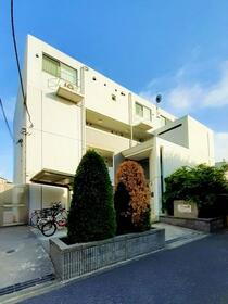 ペディオＩＩＩ