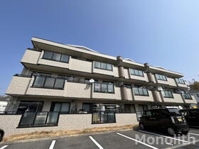 ウィスタリア藤