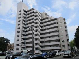 静岡県浜松市中央区幸３ 12階建 築29年5ヶ月