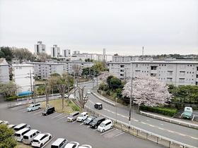 神奈川県横浜市旭区左近山 賃貸マンション