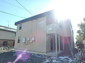 アムール　琴２