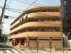 神奈川県横浜市緑区台村町 4階建 築17年5ヶ月