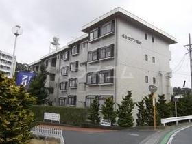 静岡県浜松市中央区和合町 4階建 築40年11ヶ月