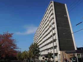 大阪府堺市南区三原台３ 11階建 築52年1ヶ月