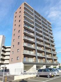 ショウジュン原田