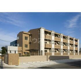 Ｐａｓｔｏｒａｌ