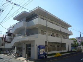 ホワイトプラナス