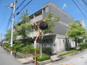 ＥＸＴ