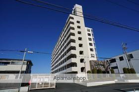 静岡県浜松市中央区中郡町 9階建 築31年11ヶ月