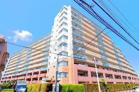 東京都東久留米市南沢５ 11階建 築20年8ヶ月