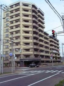 北海道札幌市白石区中央一条３ 11階建 築23年2ヶ月