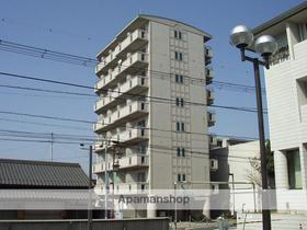 滋賀県甲賀市水口町本町３ 8階建 築31年3ヶ月