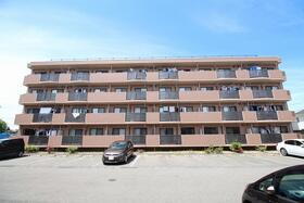 新潟県新潟市秋葉区あおば通２ 賃貸マンション