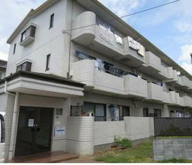 埼玉県新座市新堀３ 3階建 築41年10ヶ月