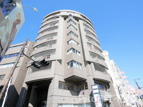 プレミシス岸里 地上10階地下1階建