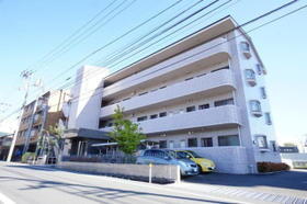 愛媛県松山市樽味４ 4階建 築22年4ヶ月