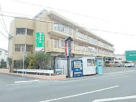 静岡県浜松市中央区葵東２ 3階建 築38年8ヶ月