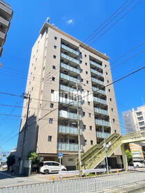 Ｖｅｒｄｅ　Ｌｅａｆ　菊井