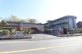 千葉県流山市大字東深井 築28年10ヶ月 3階建