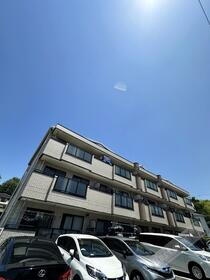 ウィスタリア藤