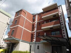 シュタインハウス