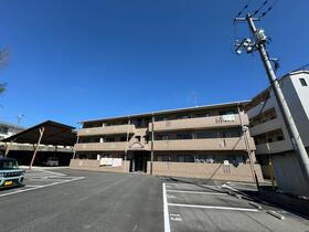 フェニックス下見