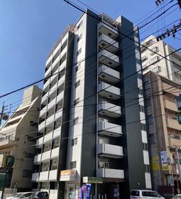 ステージルビーグラス