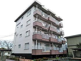 静岡県浜松市中央区天王町 4階建 築34年7ヶ月