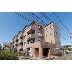 神奈川県横浜市港北区日吉５ 4階建 築30年3ヶ月